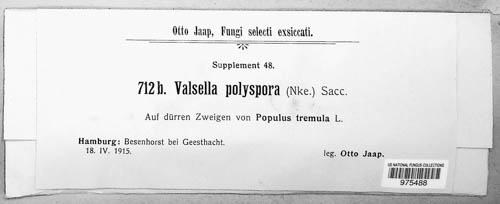 Valsella polyspora image